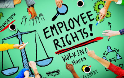 Employment Rights Young People